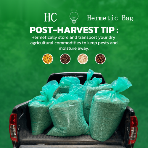 Super Hermetic Rice Grain Plastic Storage Bags