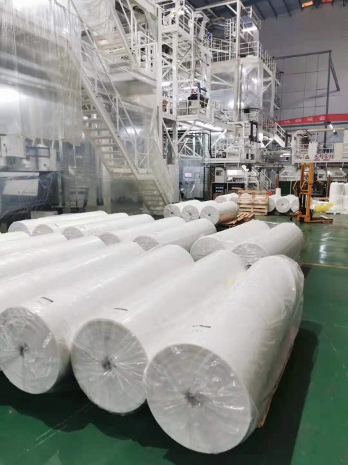 PA/PE Multilayer Co-extrusion nylon pe plastic packing film roll plastic Lidding Film